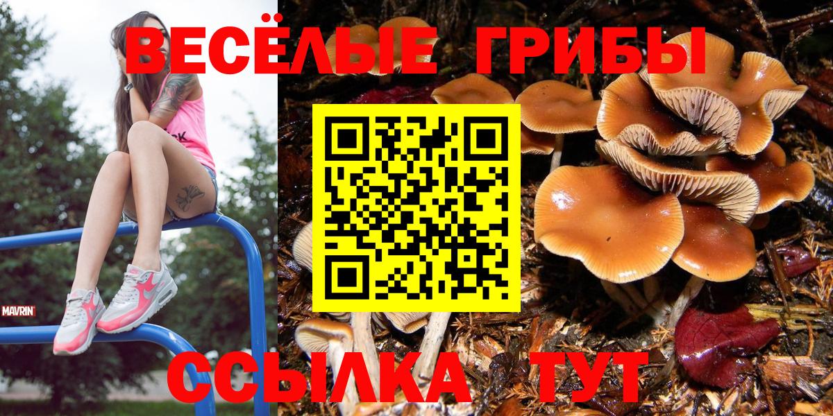 Псилоцибиновые грибы Psilocybine cubensis  Вход с VPN  Котлас 